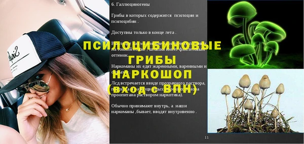 тгк Аркадак