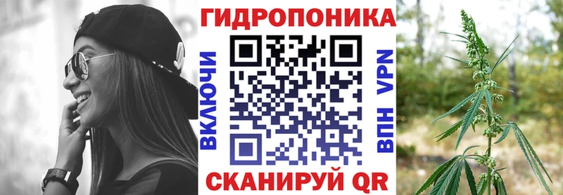 Каннабис сатива  как найти закладки  мега ссылка  Баймак 
